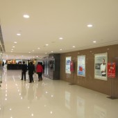 Shopping Arcade LED Lighting