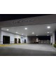 CREE 304 Series Canopy luminaires