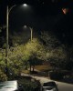 CREE RSW Series Low-Glare Luminaire