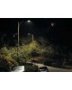 CREE RSW Series Low-Glare Luminaire