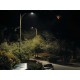 CREE RSW Series Low-Glare Luminaire CREE RSW Series Low-Glare Luminaire