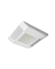 CREE CPY LED Luminaire