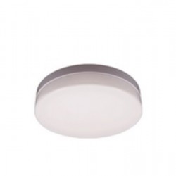 TE LED Round Ceiling Light