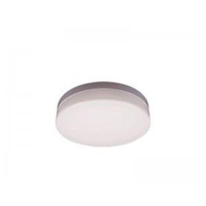 TE LED Round Ceiling Light