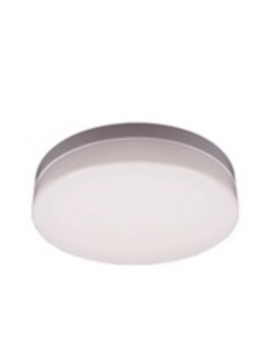 TE LED Round Ceiling Light