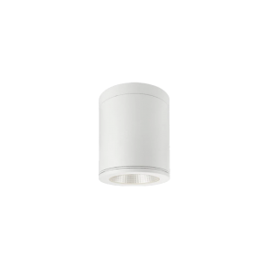 TE NE2858 15W Waterproof IP65 Surface Downlight