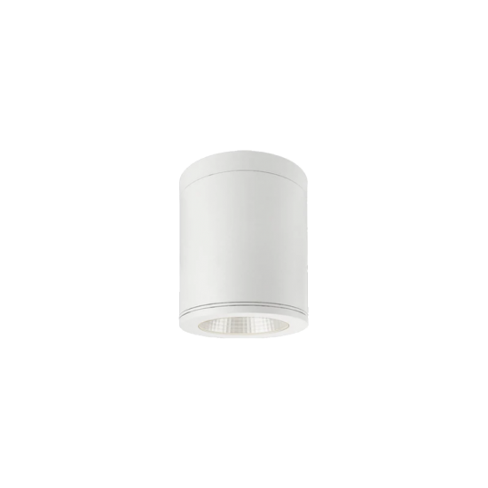 TE NE2858 15W Waterproof IP65 Surface Downlight