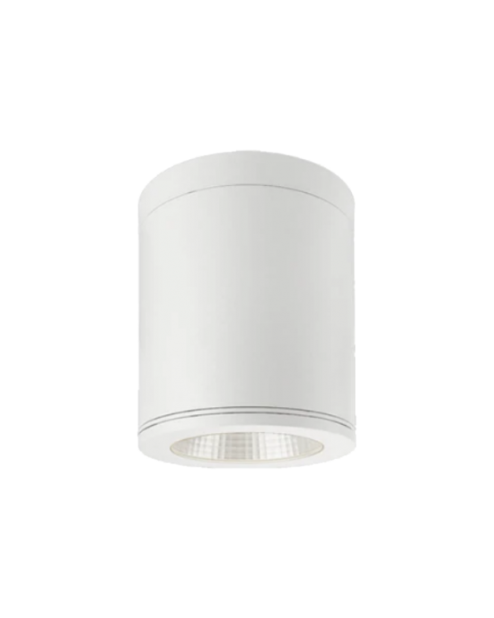 TE NE2858 15W Waterproof IP65 Surface Downlight