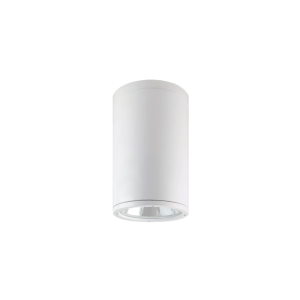 TE NE2999 48W Waterproof IP65 Surface Downlight