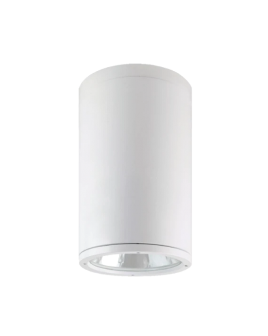 TE NE2999 48W Waterproof IP65 Surface Downlight