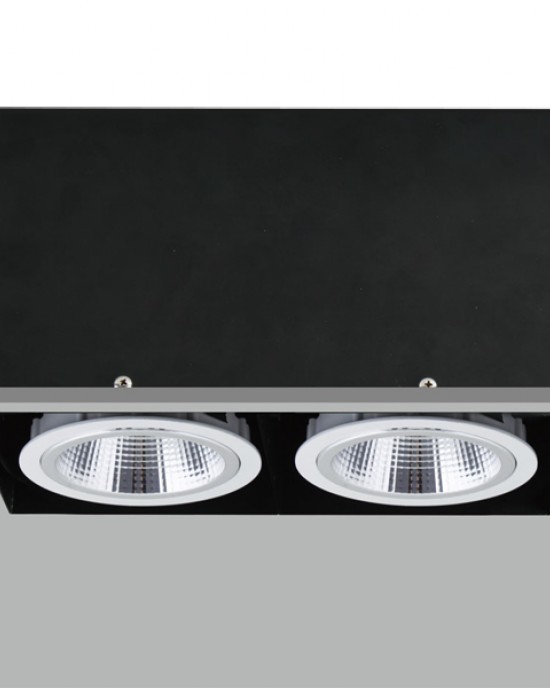 TE FH2830 2x20W Trim-less Square Recessed LED Downlight