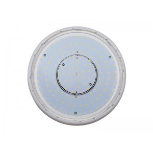 TE IP66 LED Ceiling Lighting