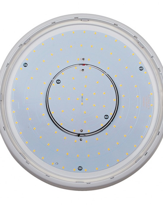 TE IP66 LED Ceiling Lighting