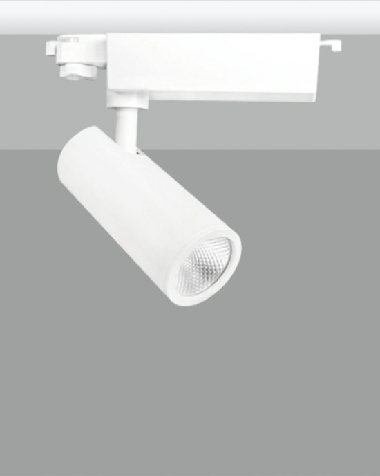 TE TI0018 10W Track Light