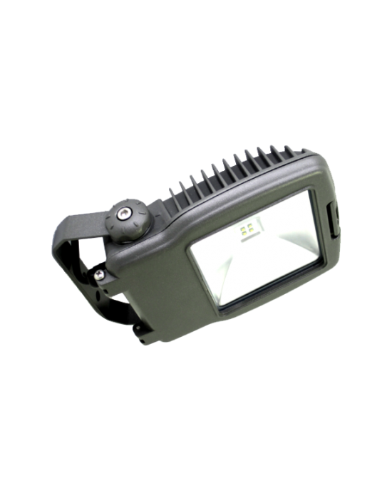TE LED Mini Floodlight