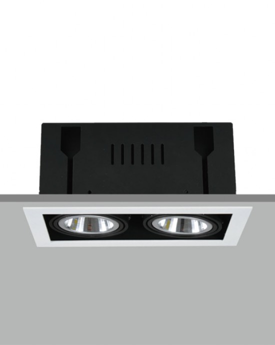 TE FR2358 2x10W Square Recessed LED Downlight