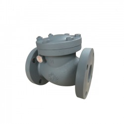 Yamato F10CE JIS 10K Cast Iron Swing Check Valve Yamato F10CE JIS 10K Cast Iron Swing Check Valve