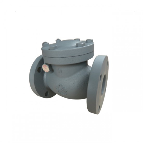 Yamato F10CE JIS 10K Cast Iron Swing Check Valve